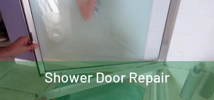  Shower Door Repair 